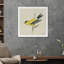 Goldfinch Print-1266894889