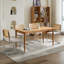 Ensemble de 2 chaises d'appoint Mid-Century-33157850