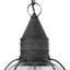 Jolie 1-Light Outdoor Hanging Lantern-205436695