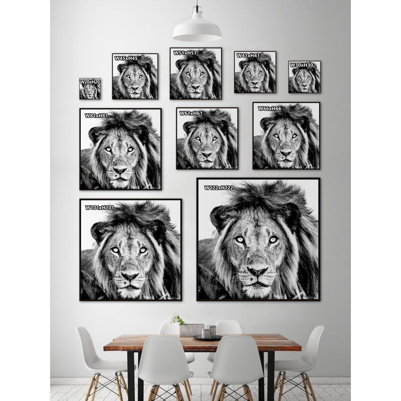 Mighty Lion by Marmont Hill - Floater Frame Painting on Canvas, 30cm H x 30cm W