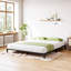 Structure de lit double en métal avec lattes en acier, lit plateforme de 14 pouces, silencieux, assemblage facile, noir-315236040-321667118-330811802