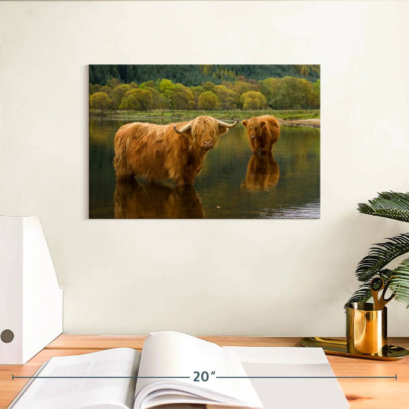 Brampt Bathing Highland Cow, H 8 po x l 12 po