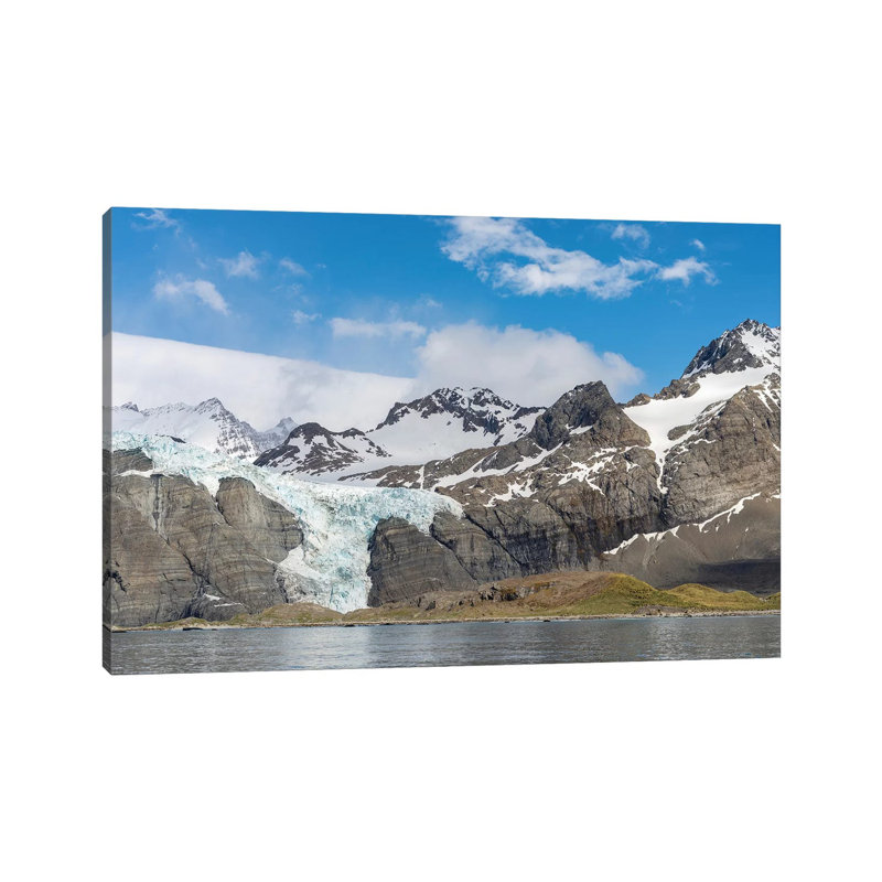Gold Harbour With Mighty Bertrab Glacier On South Georgia Island by Martin Zwick - Wrapped Canvas Print