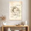 Anatomie Keiri-108443791