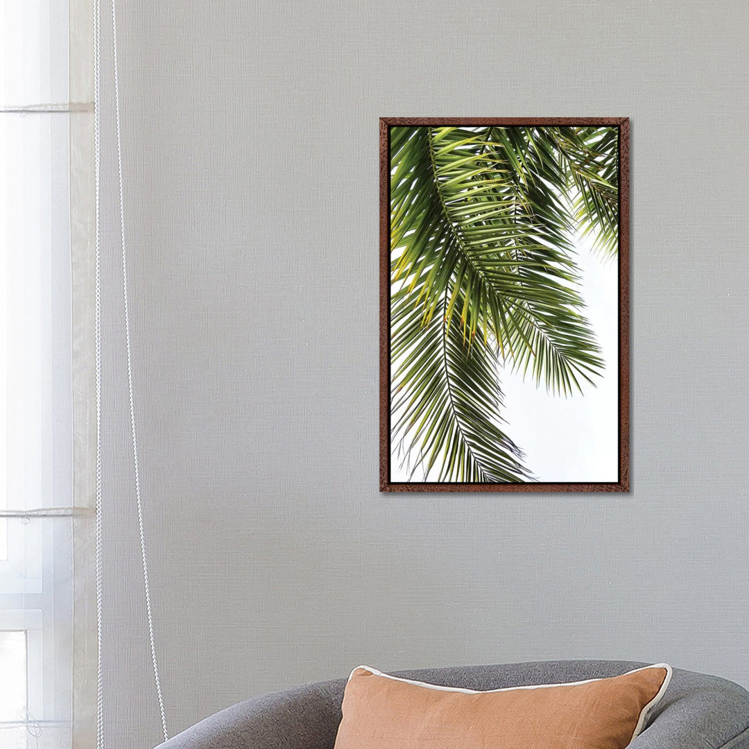 Palm Leaves by Lexie Greer - Print on Canvas
