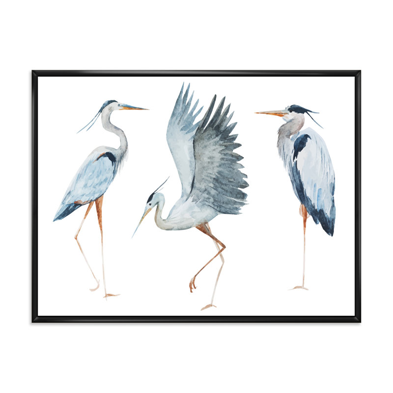 Reproduction d'art sur toile, héron, II, H 30 po x l 40 po, Impression encadrée, Noir