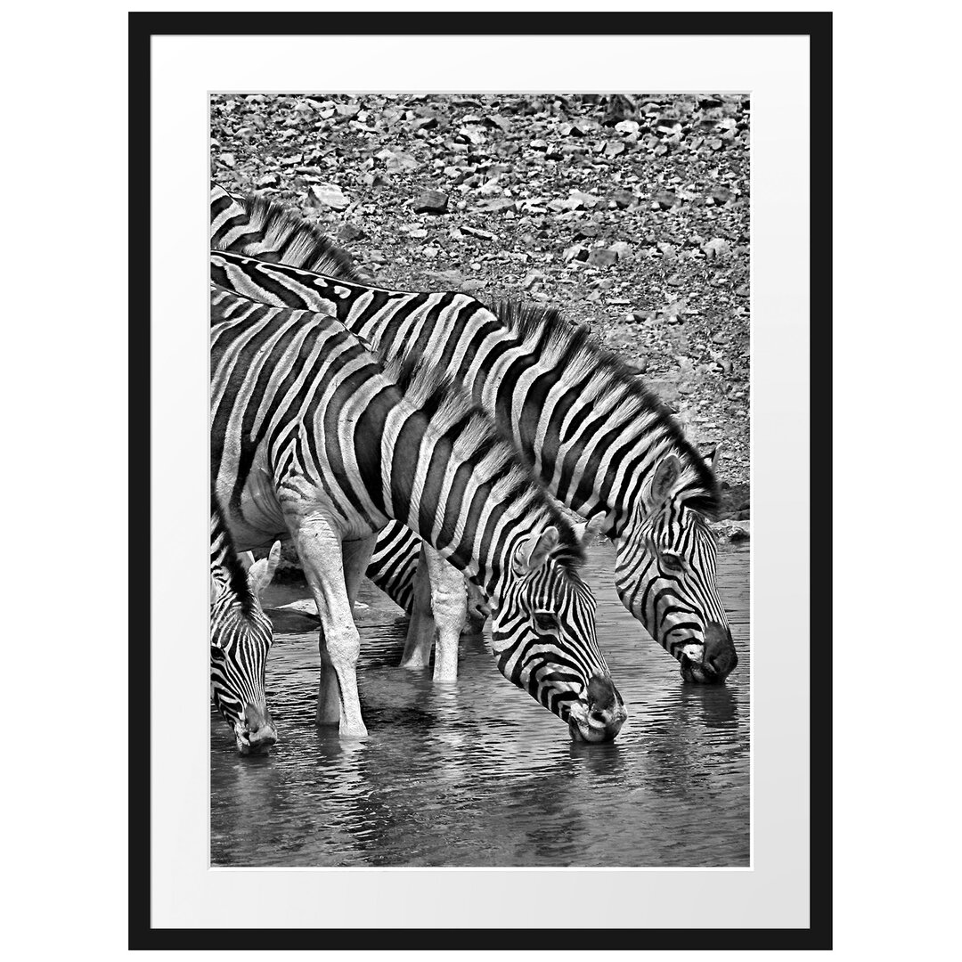 Gerahmtes Poster Zebraherde an einem Wasserloch