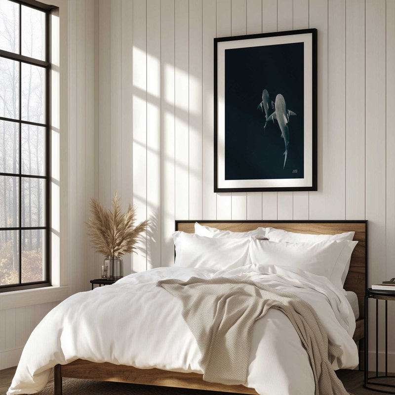 Serene Shark Shadows Print, Black, 25" H x 19" W