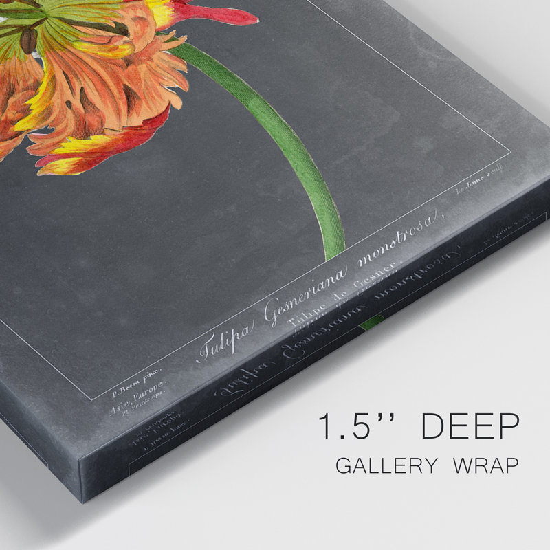 «Midnight Tulip I», ensemble de 2 reproductions d'art sur toile tendue, H 60 po x l 80 po x P 2 po