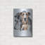 «Greyhound» par Barbara Keith-1573417628