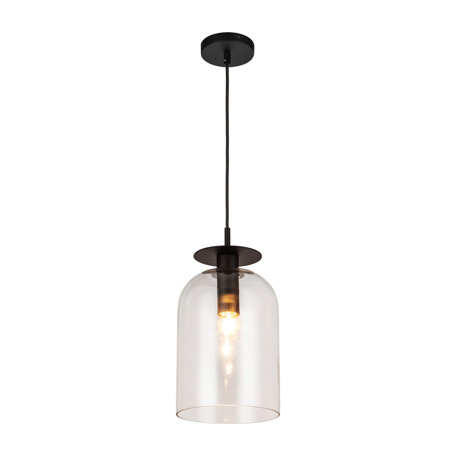 Delisa Single Light Glass Steel Pendant, Matte Black