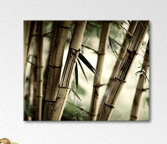 Wrapped Canvas Print, 80cm H x 100cm W x 2cm D