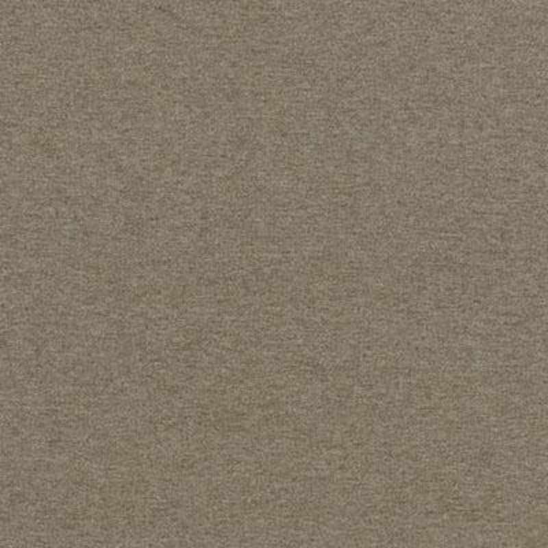 Paramount Fabric, Brown