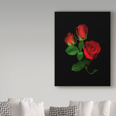 «Red Roses» par Dosta, impression sur toile tendue