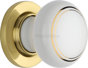 White/Polished Brass
