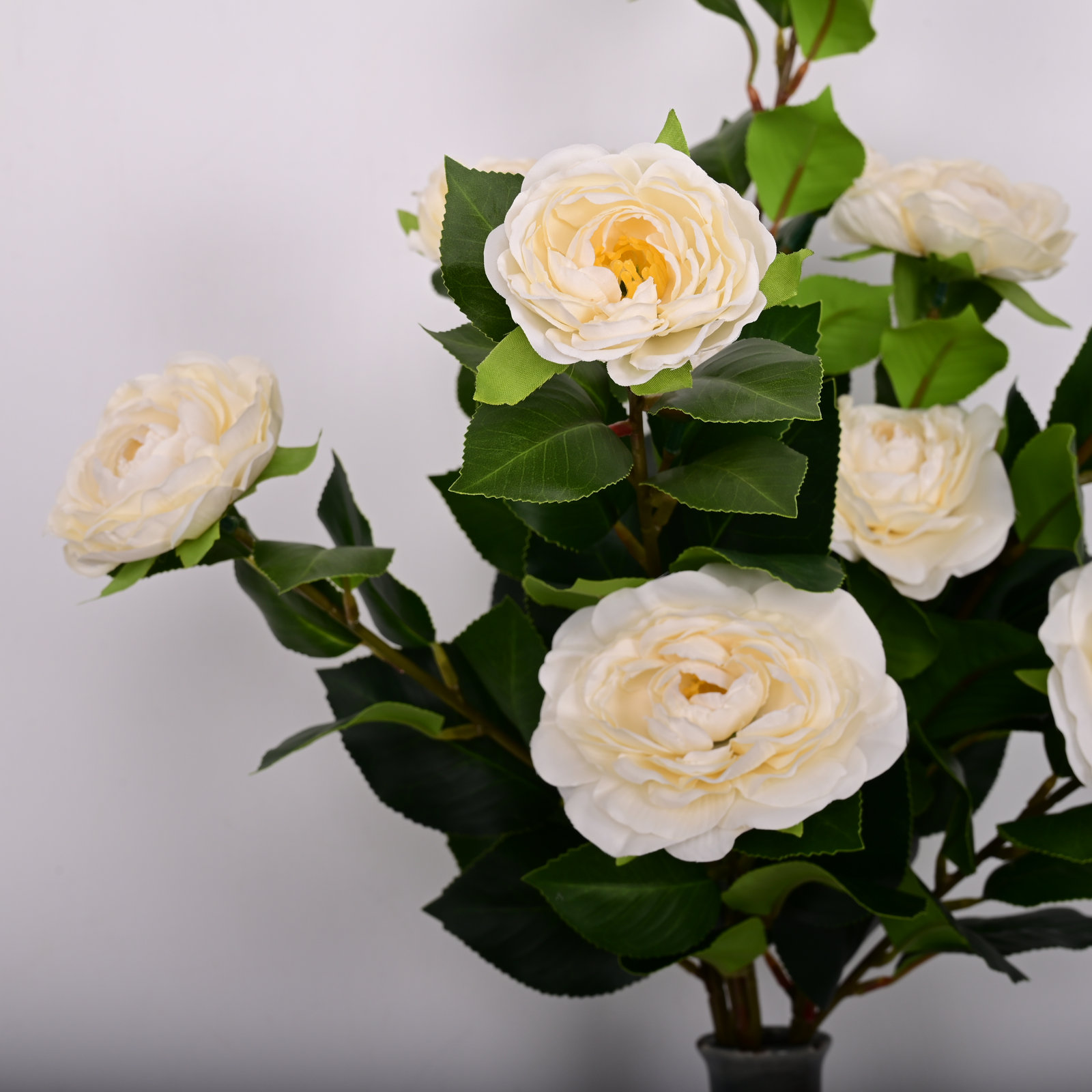 Tuomo Peony Floral Arrangement, Cream