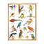 «Vibrant Coloured Birds Plancard», reproduction sur toile-59708181-59708182