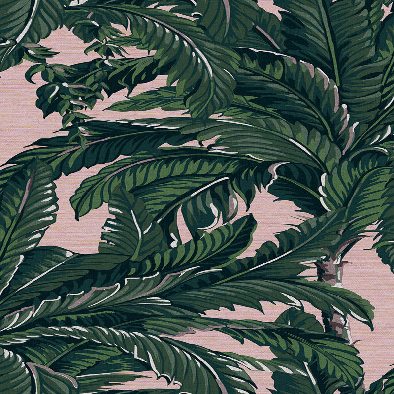 Daintree Palm Pearl Wallpaper, Pink