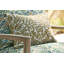 Acorn Weave-1714747503