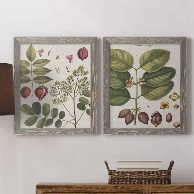 Exotic Botanique I - ensemble de 2 impressions encadrées, Toile avec cadre gris, H 24 po x l 36 po x P 1,5 po, Pas de tapis