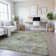 Premium Machine Washable Kumbhar AMF1377 Stripes Rug