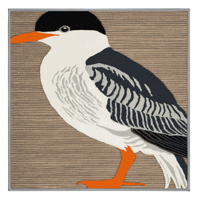 Tapis lavable Caspian Tern Birds