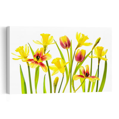 Fleurs printanières joyeuses, jonquilles et tulipes colorées et vibrantes, impression d'art mural sur le thème du printemps et de la nature