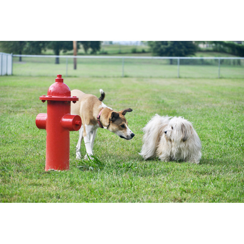 Red Plastic Surface Mounted Fire Hydrant for Dog Parks