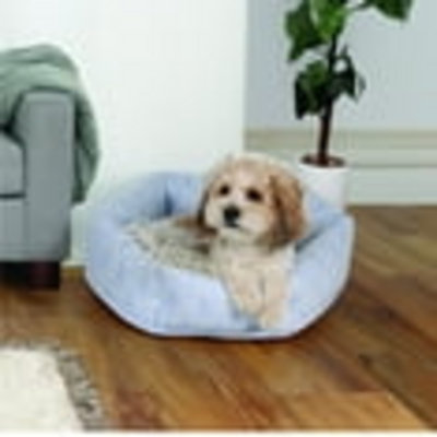Small Cozy Cuddler-style Dog & Cat Bed, Arch Prin