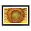 The Eye of a Yellow Sunflower - Picture Frame Painting Print-56712416-56712415