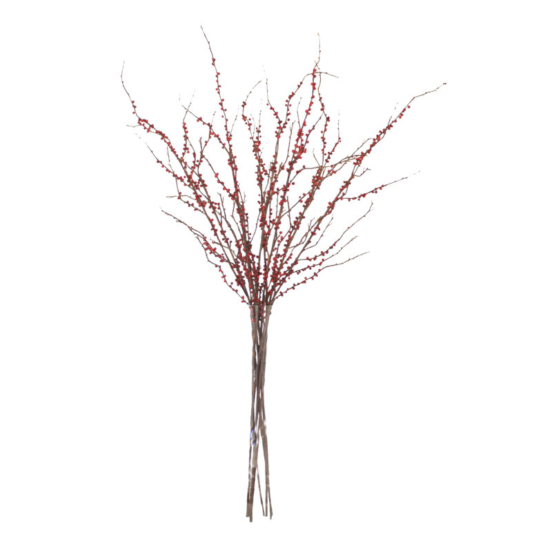 Bouquet de branches de baies de Bourgogne