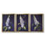 FLORAL Series CCXXVI - Toile tendue avec châssis encadré - 3 pièces-923901910-923901908