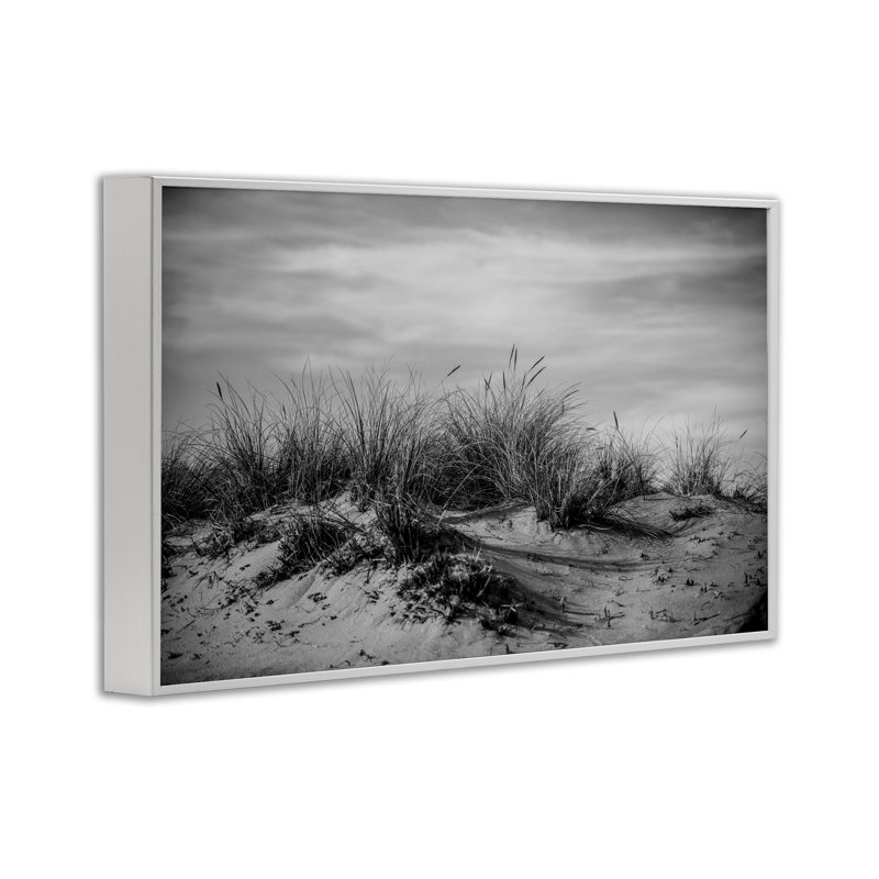 «Point Reyes Beach Dunes», estampe numérique par Crystal Lynn Collins, H 16 po x l 24 po