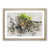 Oak Framed