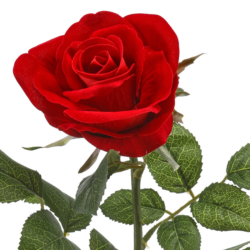 Tige de 25 po en velours rose