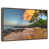 Floating Frame Walnut