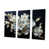 Toile tendue