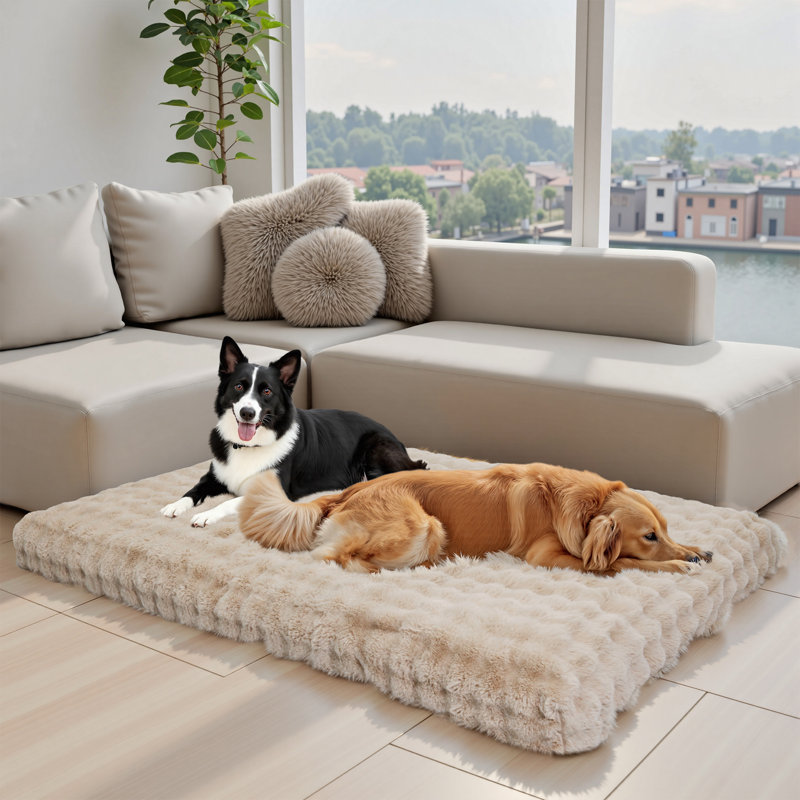 Dog Bed, 18cm H x 200cm W x 130cm D, Beige