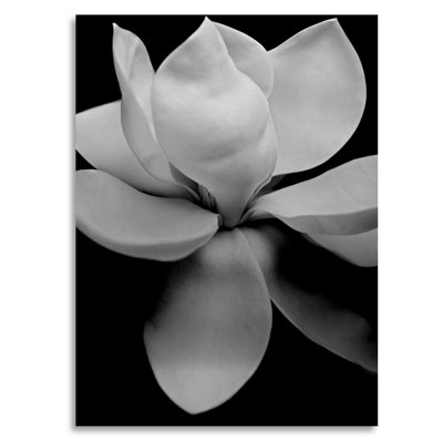 « magnolia », impression sur métal