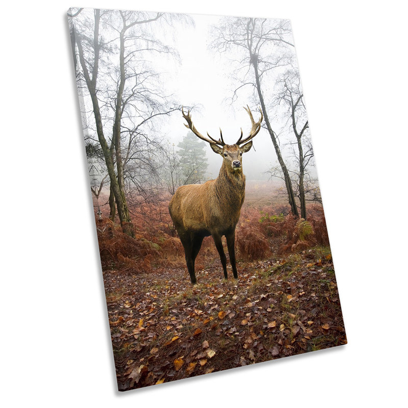 Deer Stag Highlands Picture - Wrapped Canvas Print, 61cm H x 40.6cm W x 2cm D