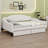 Upholstered Tufted Daybed With Two Drawers