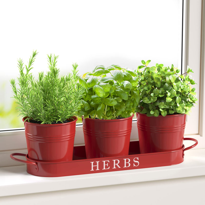 Ensemble de jardinières d'intérieur avec plateau, Rouge