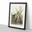 Green Heron by John Audubon - Picture Frame Painting Print on MDF-55609121-55609125