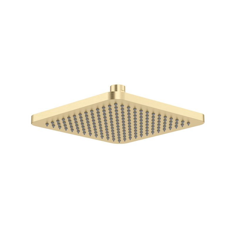 Riobel 8" Rain Showerhead, Satin Brass