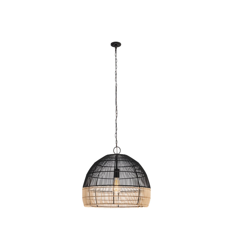 Latham - Luminaire suspendu à chaîne 1 lumière 19 po