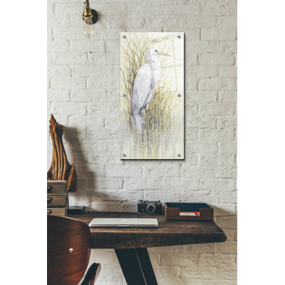 Wading I' by Tim O'Toole, Acrylic Glass Wall Art