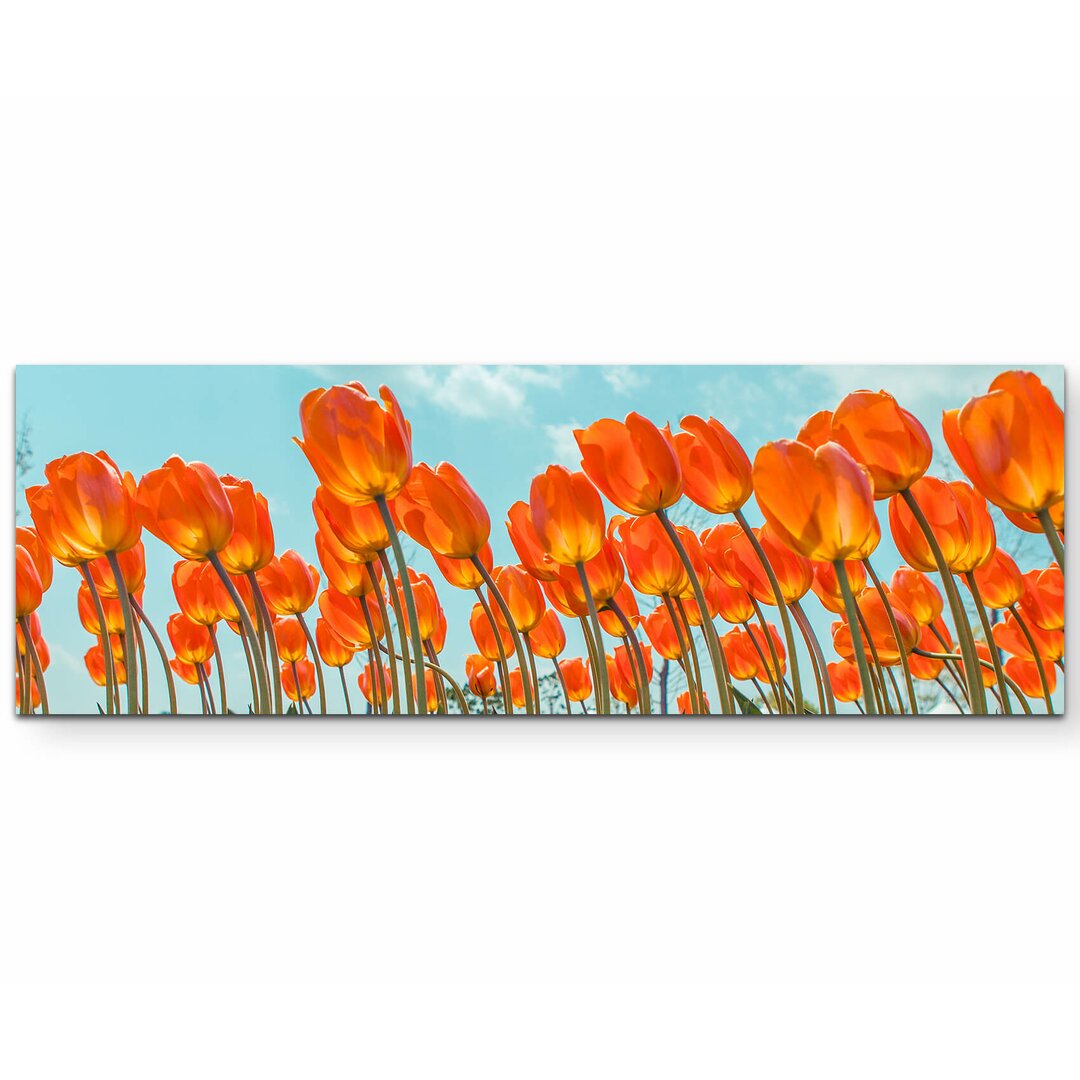 Leinwandbild Orange Tulpen mit Traubenhyazinthen