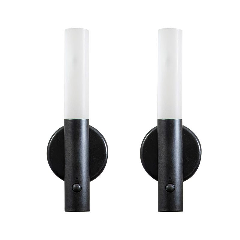Skyeler Plastic LED Flush Mounted Sconce