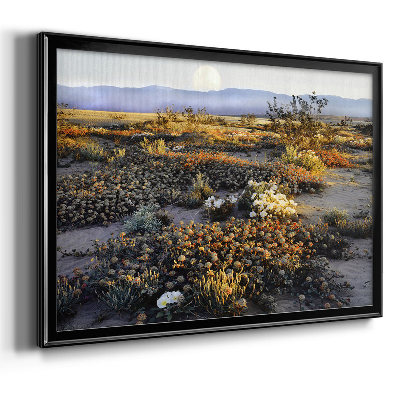 Anza Borrego Desert, reproduction d'art sur toile, H 30 po x l 44 po x P 1,5 po, Noir