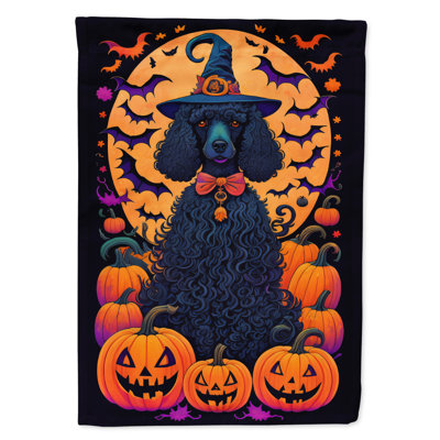 Jakameron Double Sided Polyester Halloween Garden Flag
